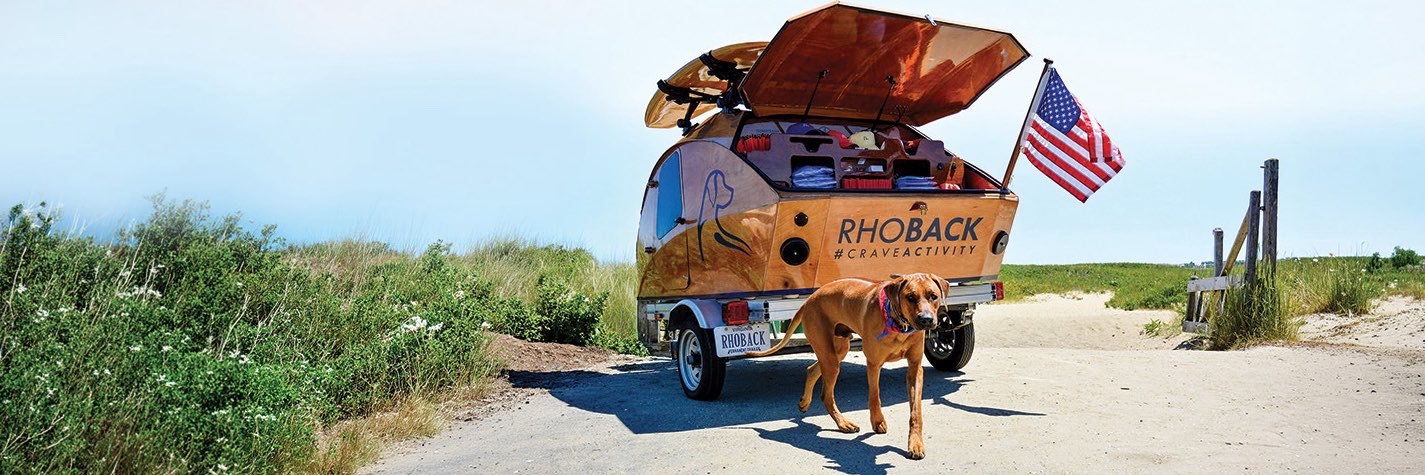RHOBACK's banner