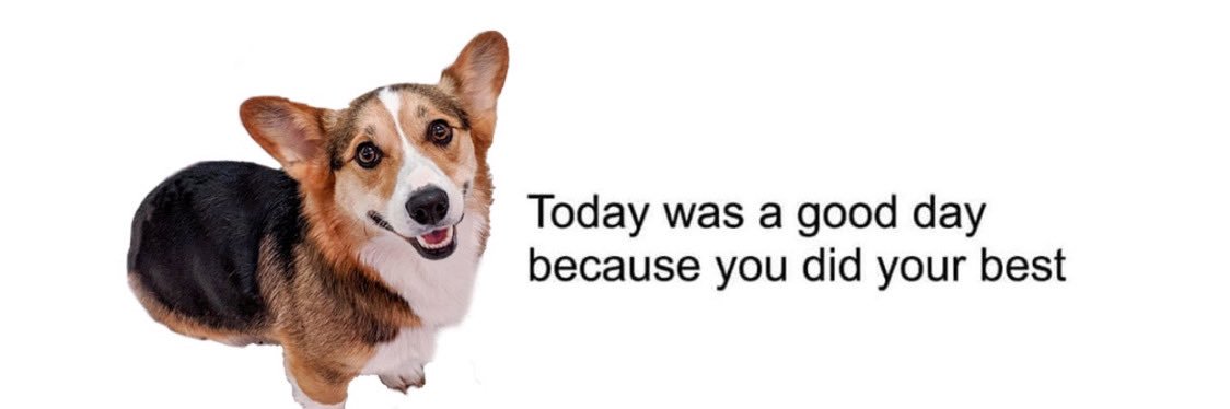 ᴘᴀᴠʟᴏᴠ ᴛʜᴇ ᴄᴏʀɢɪ's banner