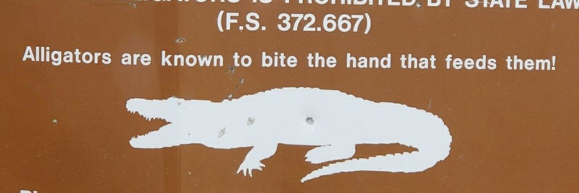 jaspering 🐊!!'s banner
