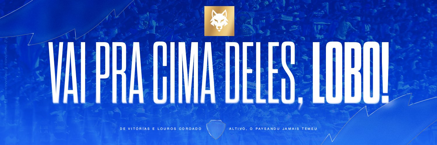 Paysandu Sport Club's banner