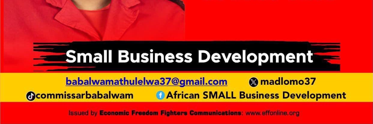 Commissar Babalwa Mathulelwa's banner