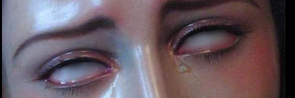 ᴄʜᴜʀʀᴏꜰꜱᴋʏ ♡'s banner