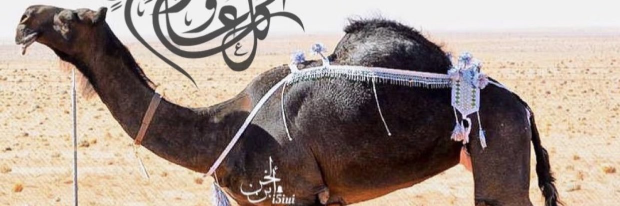 راعي العشواء 🐪💥's banner