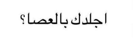 اكشن 🥊's banner