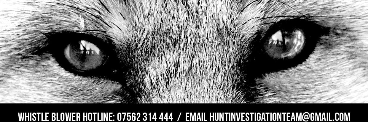 H.I.T.'s banner