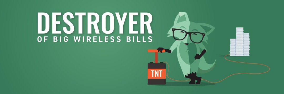Mint Mobile's banner
