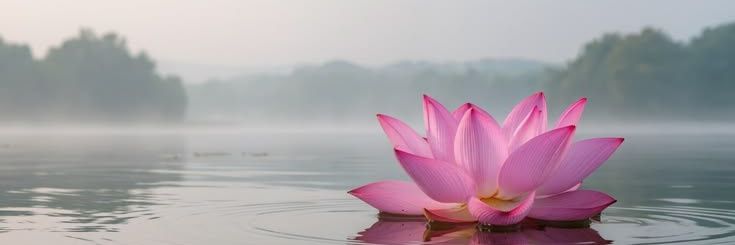 Soumya's banner