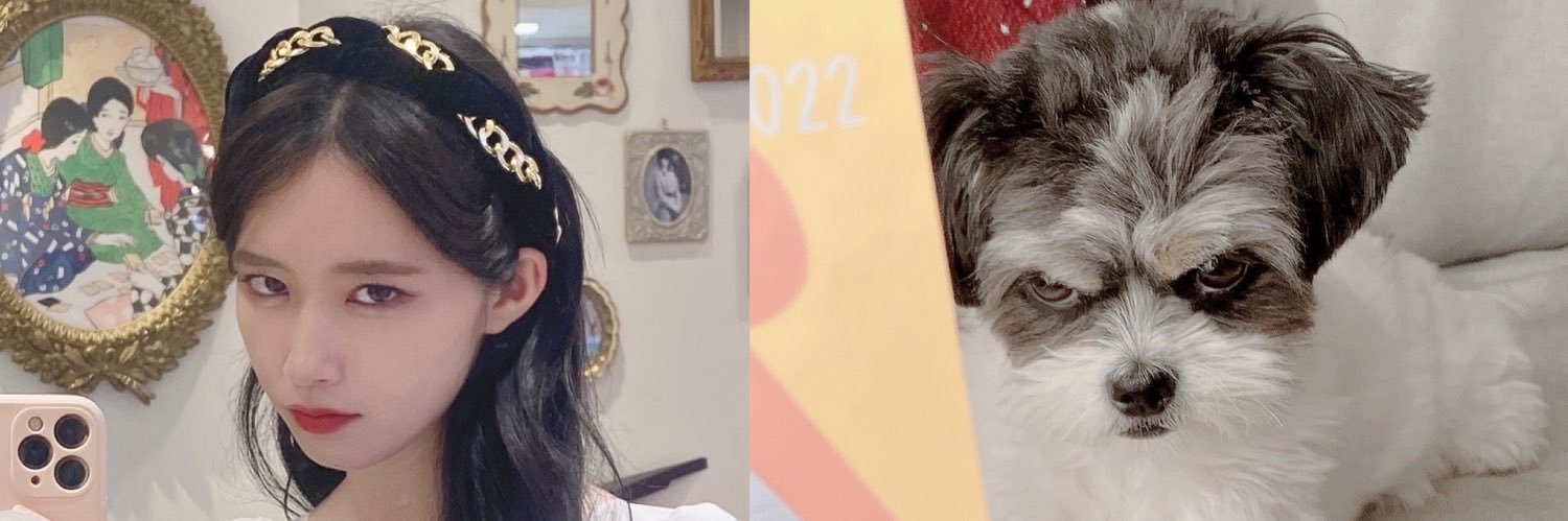 SERINA🐈‍⬛🖤's banner