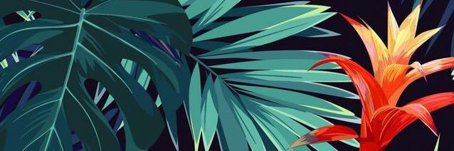 🍋🍊's banner