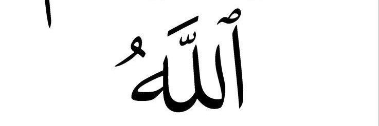 دكتورة رانيا رجب's banner