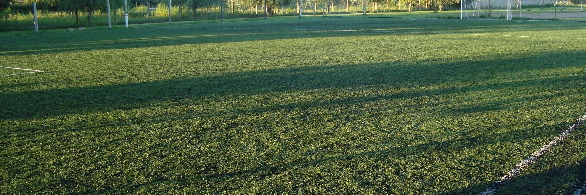 Mariale Campos 🏳️‍🌈's banner