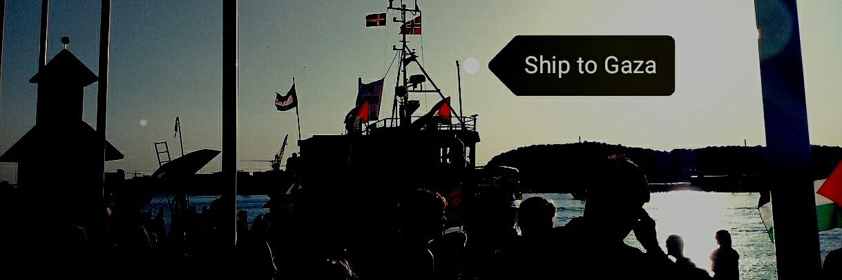 Parisa Nasr 🔻's banner
