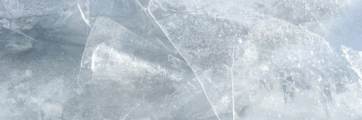 sarah's banner