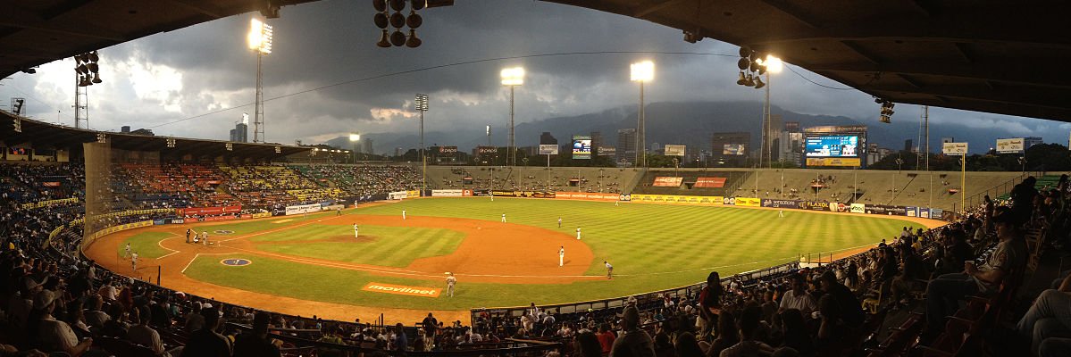 Leones del Caracas's banner