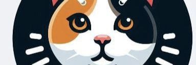 Stephie Bogado Tervit #80547's banner