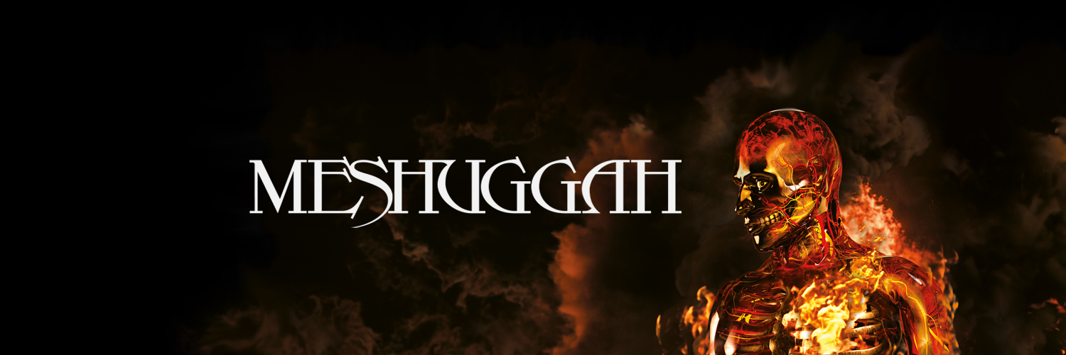 Meshuggah's banner