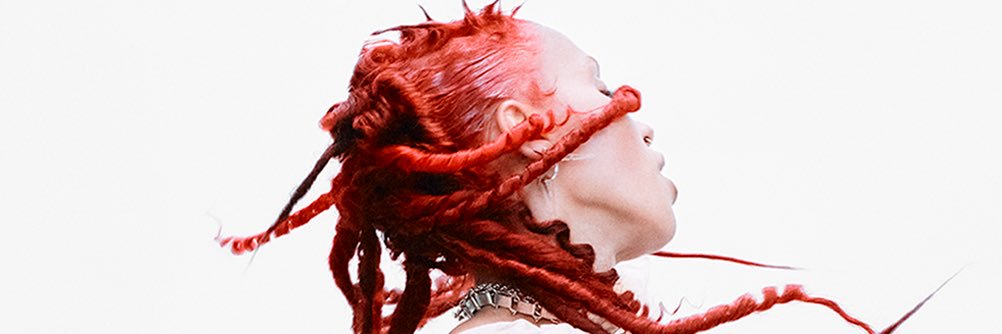 FKA twigs's banner