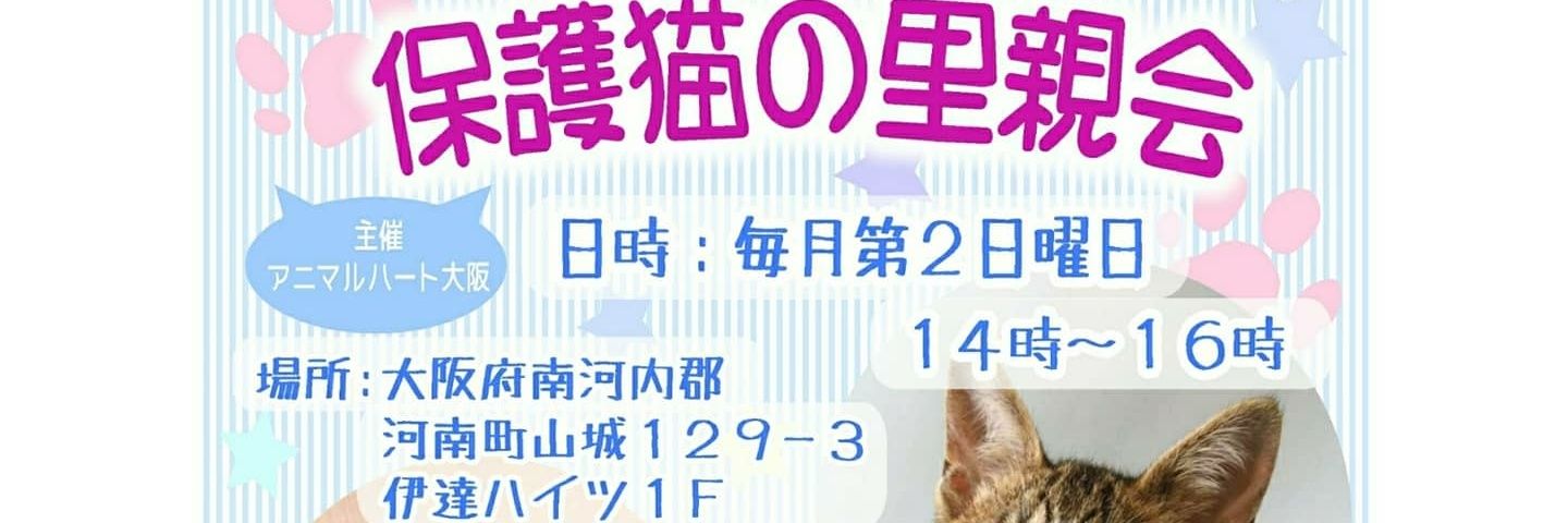 Silver /アニマルハート大阪 ❤里親募集中❤'s banner
