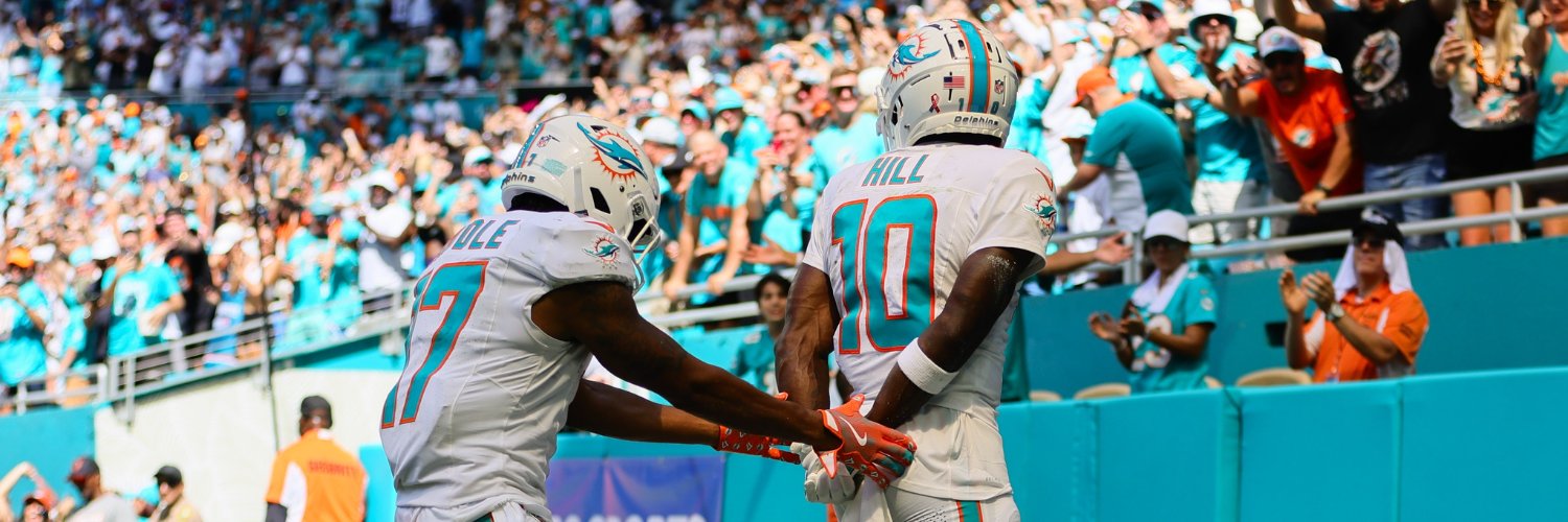 Dolphin Nation's banner