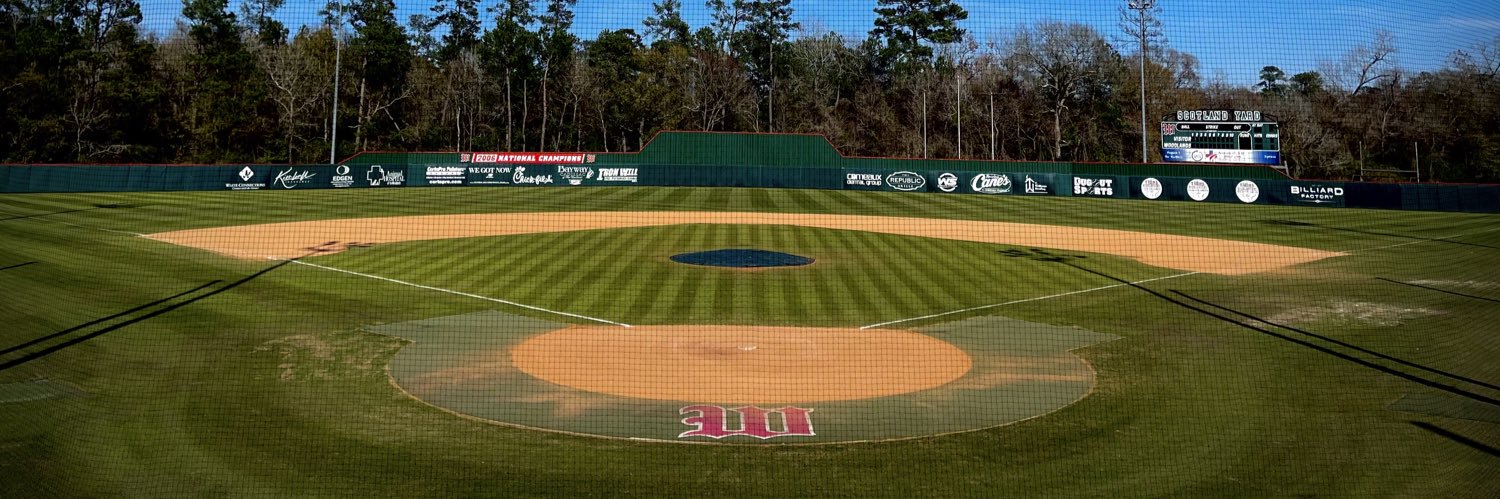 twhsbaseball's banner