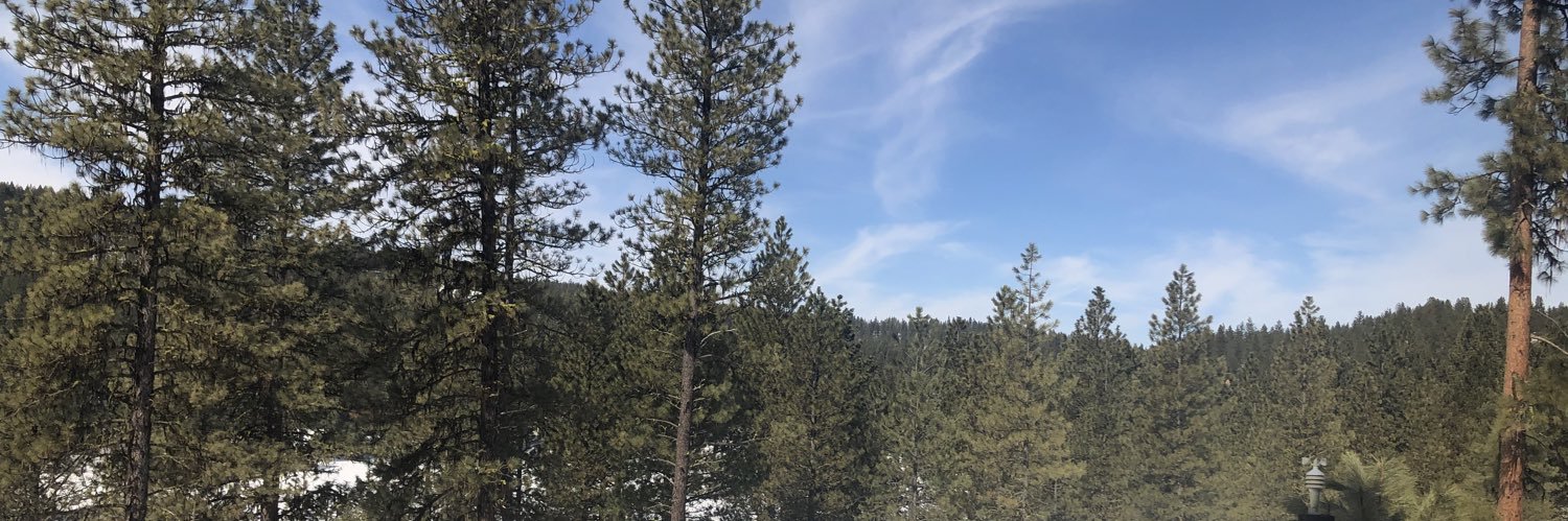 LisaUnfiltered's banner