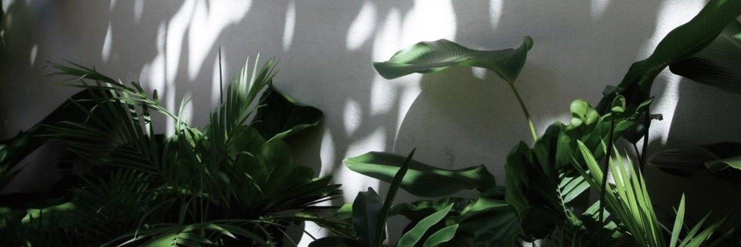 sam's banner