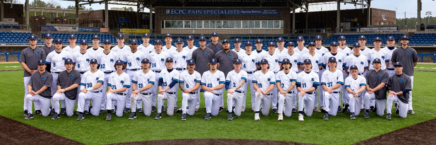 Wake Tech Baseball's banner