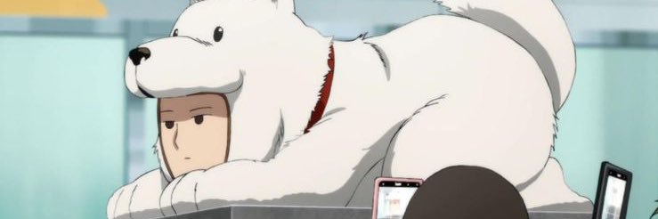 ‎Christopher 🦝's banner