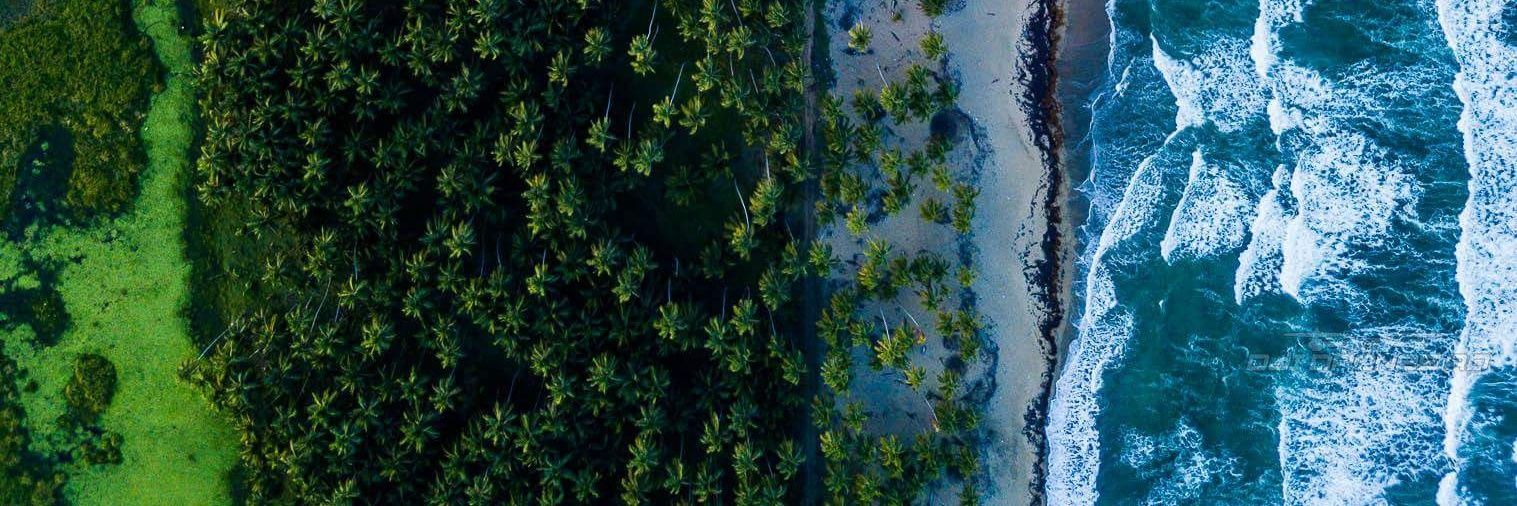 𝔽𝕖³ 🌬🍃's banner