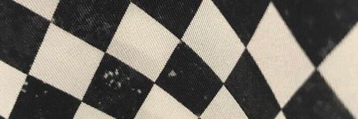i, 🐻♟️🌐's banner