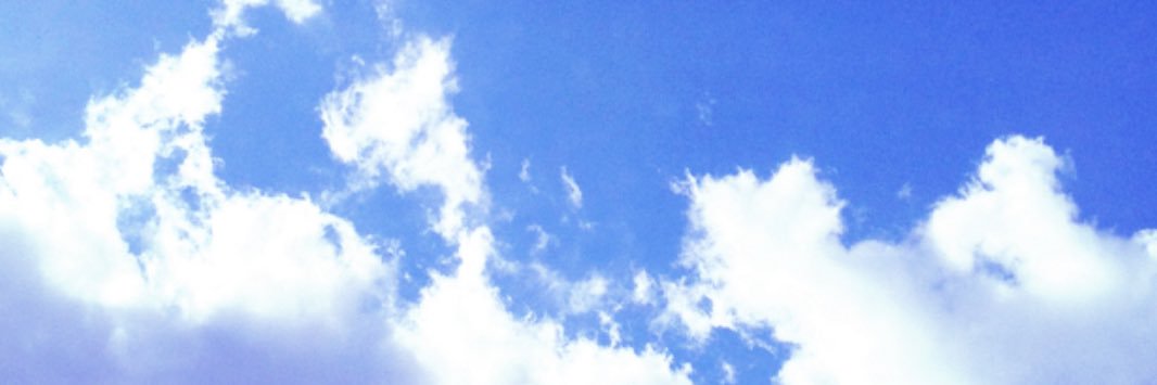 ふな虎。's banner