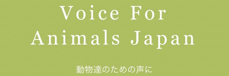 ジョンヌ🐰Vegan's banner