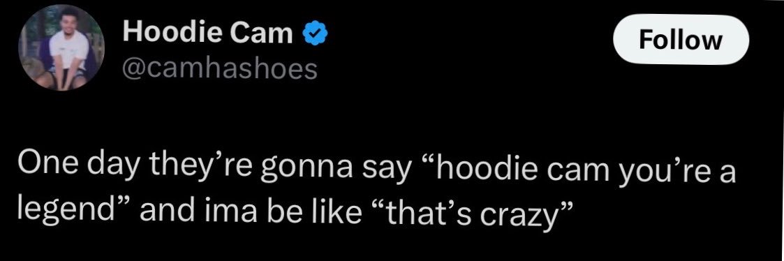 Hoodie Cam's banner