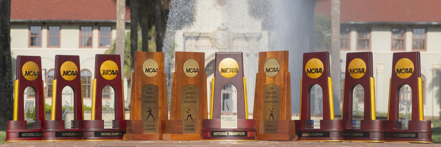 Valdosta State Blazers's banner