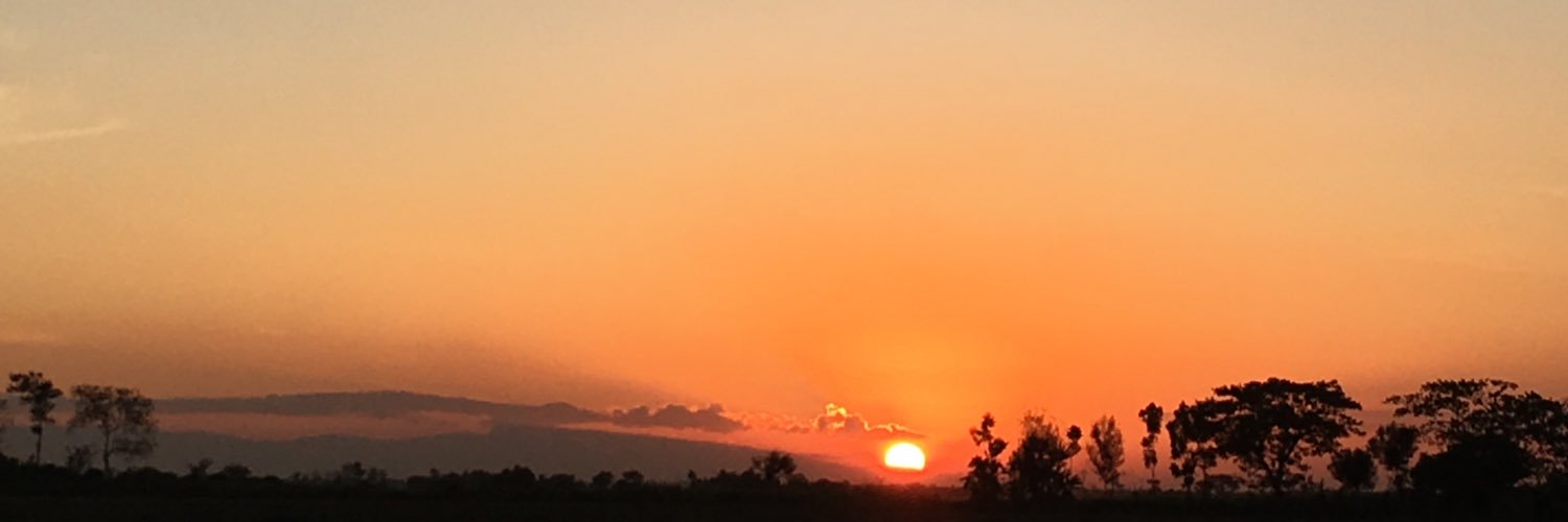 …'s banner