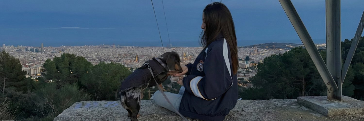 llullu ⸆⸉'s banner