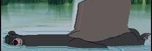 FGSky's banner