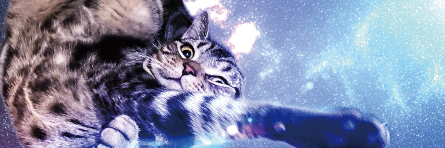 げんぴょん's banner