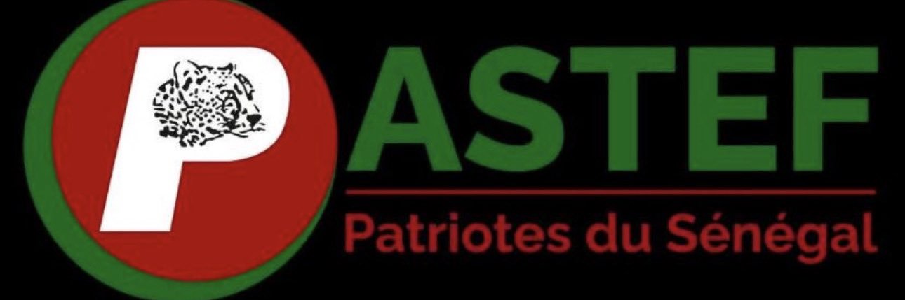 🇸🇳 ⭐️Patriote ⭐️🇸🇳's banner