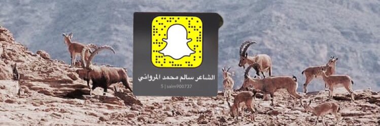 الشاعر سالم محمد المرواني's banner