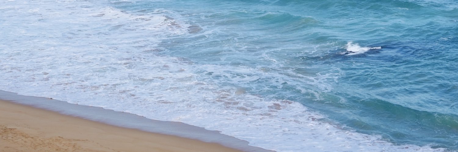 OōEli.eth's banner