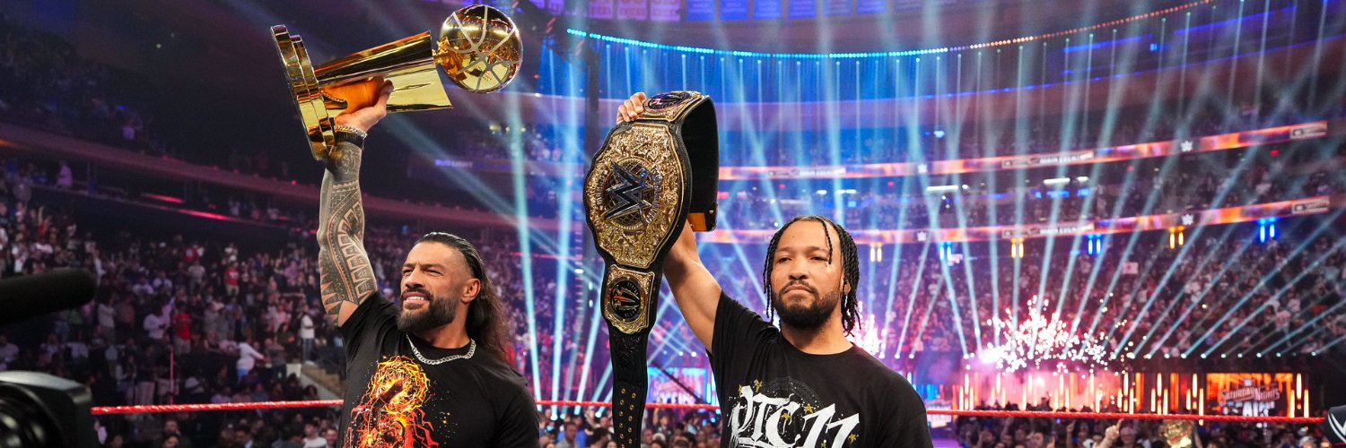 WWE's banner