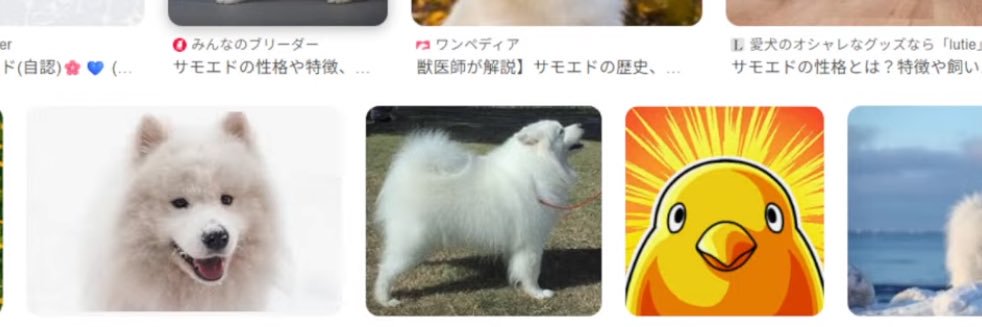 うまあじトマト's banner