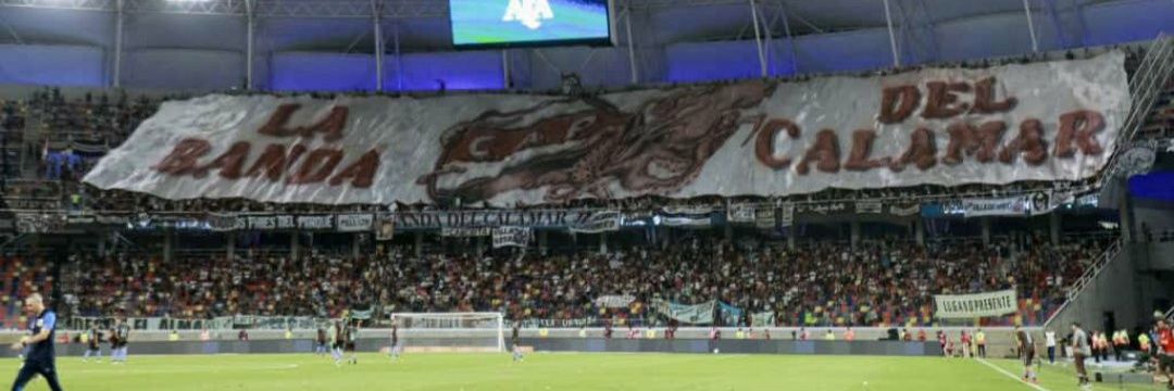 RT Calamar ⭐'s banner