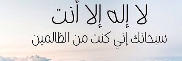 أ. د. يوسف الصالح's banner