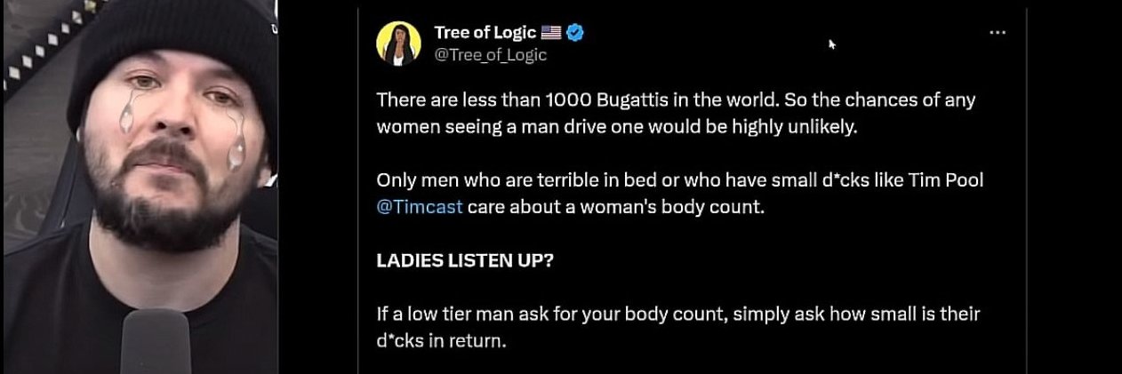 Tree of Logic 🇺🇸's banner