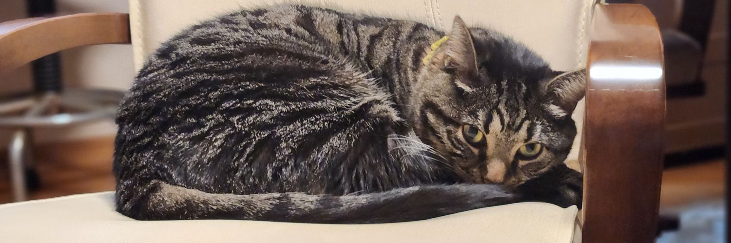 リーンウィズたけし🇯🇵🇯🇵🐈's banner