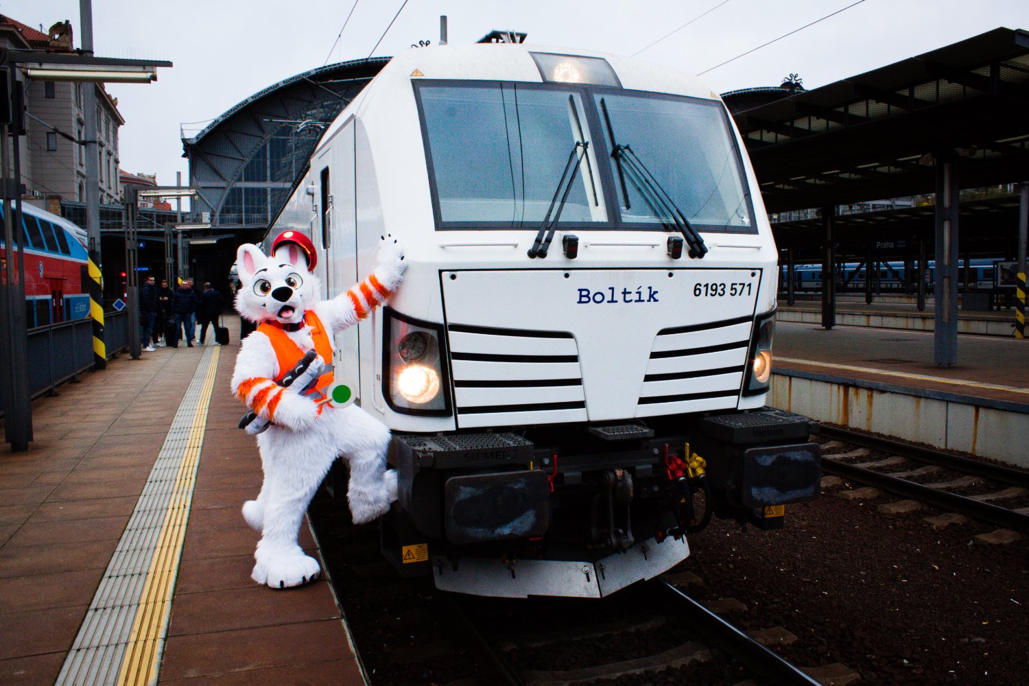 Bolt Railway Dog 🚂's banner