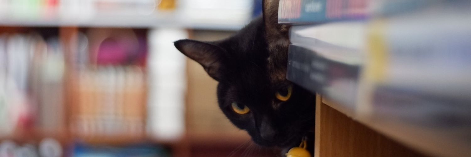 𝐬𝐚𝐲𝐜⚯𝐥𝐞𝐧𝐠𝐥𝐢𝐬𝐡™🧠📚🐈‍⬛'s banner