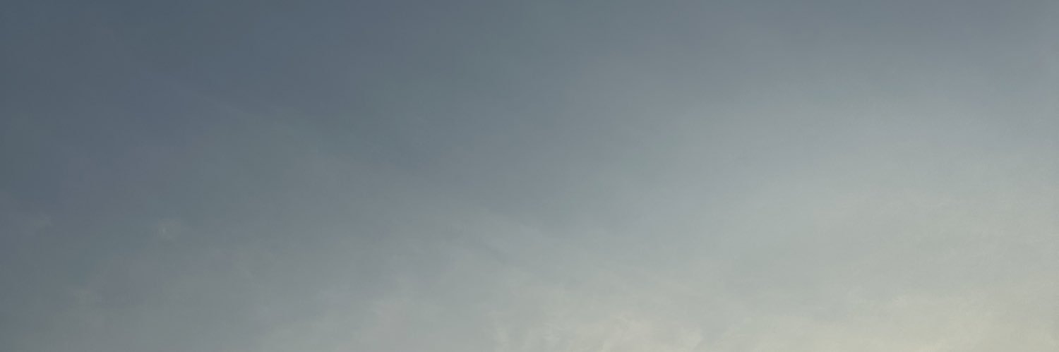 곰곰🌻's banner